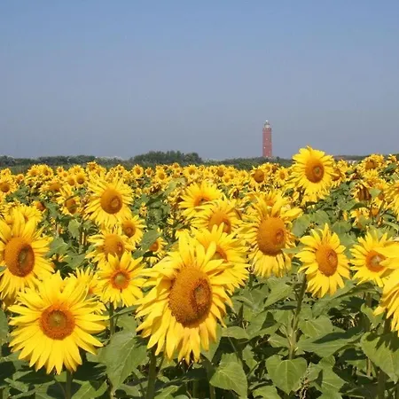 Huijsmansverhuur Type Premium De Luxe *