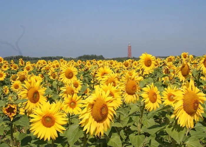 Huijsmansverhuur Type Premium De Luxe *