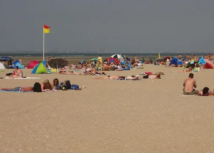 Huijsmansverhuur Type Premium De Luxe Feriehus *